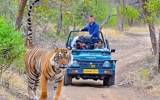 ranthambhore Heritage Tours Package